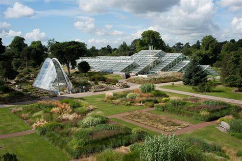  Kew Gardens: A Botanical Journey Through History and Horticulture!